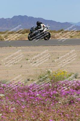 media/Mar-12-2023-SoCal Trackdays (Sun) [[d4c8249724]]/Turn 15 Inside Bloom (130pm)/